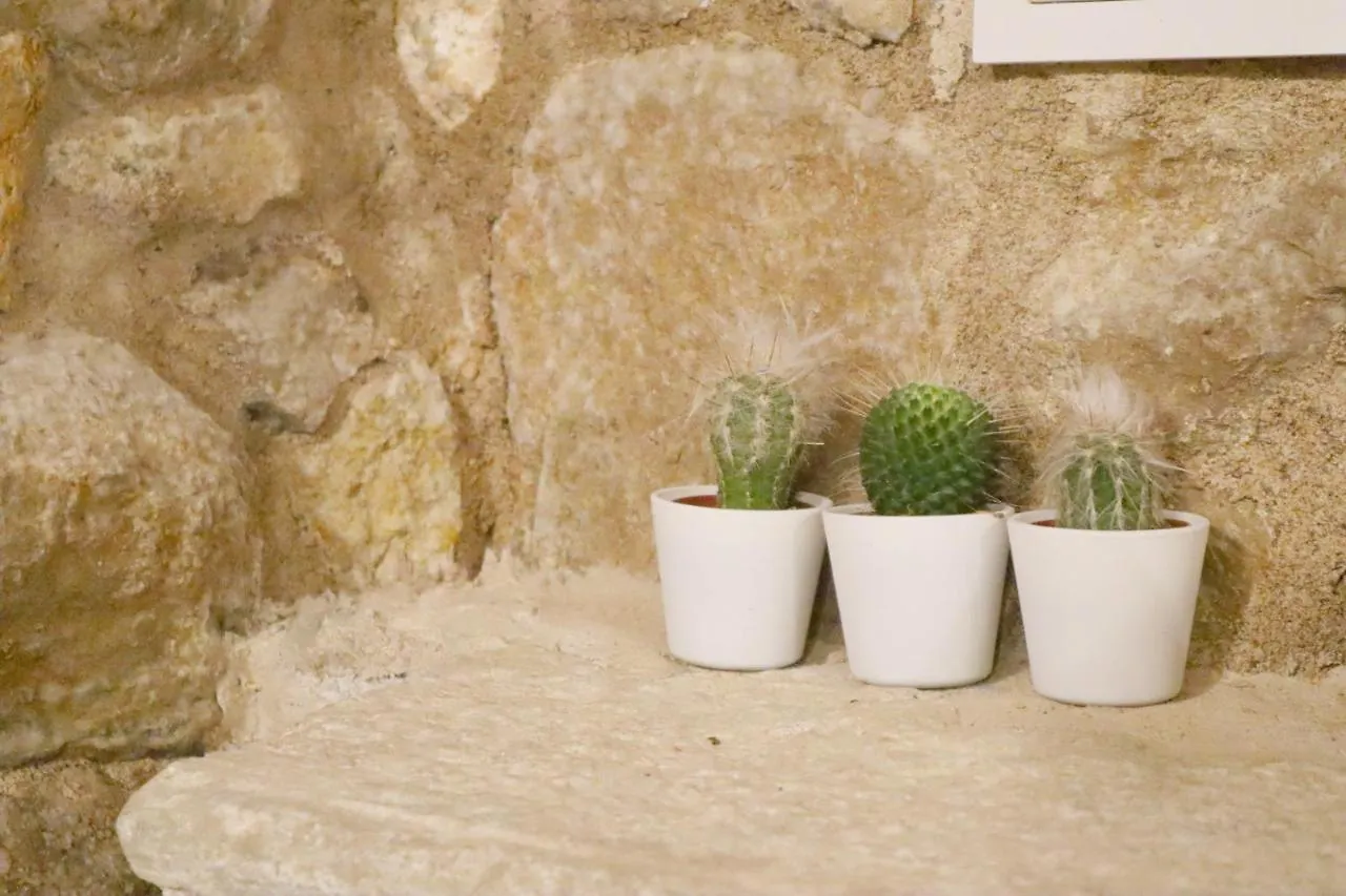 Apartment Ferienwohnung Girona Catedral