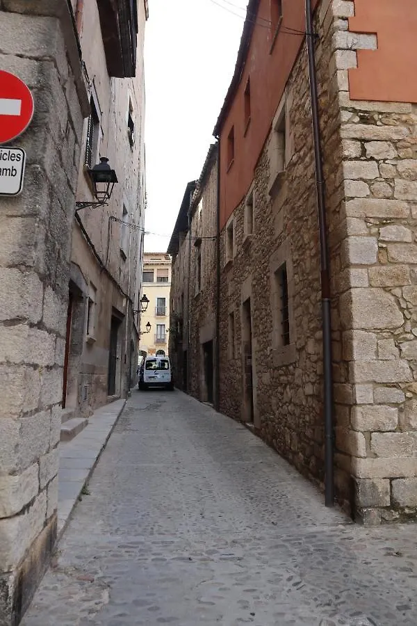 Apartment Ferienwohnung Girona Catedral