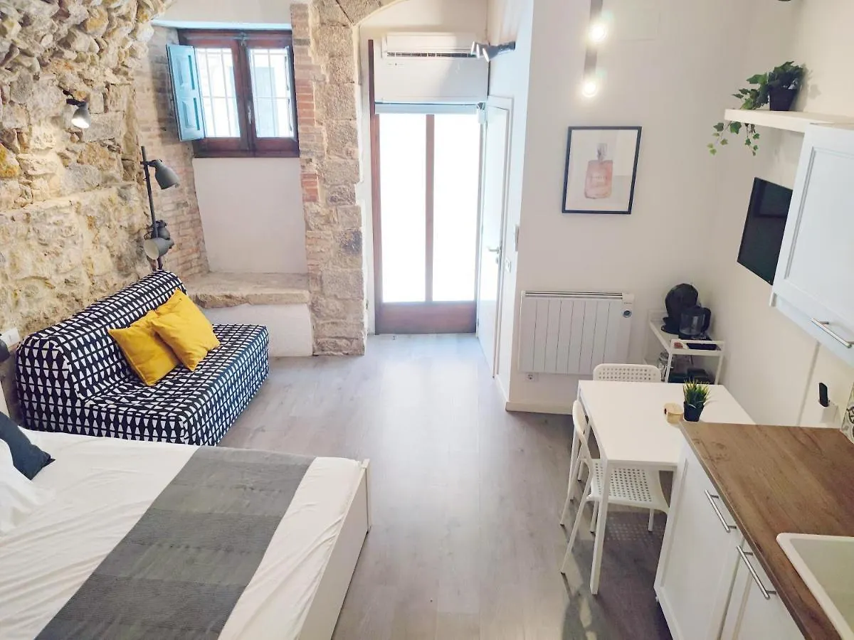 Apartment Ferienwohnung Girona Catedral